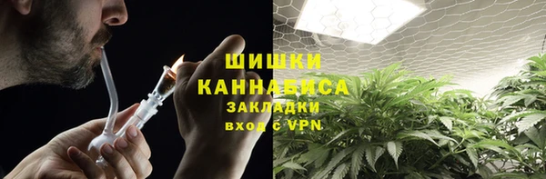 дурь Бородино