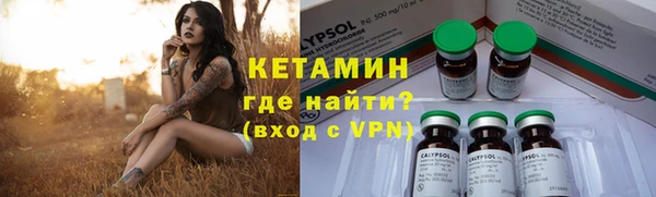 дурь Бородино