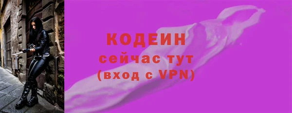 дурь Бородино