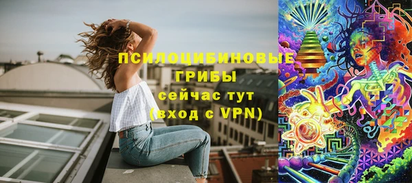трава Богородицк