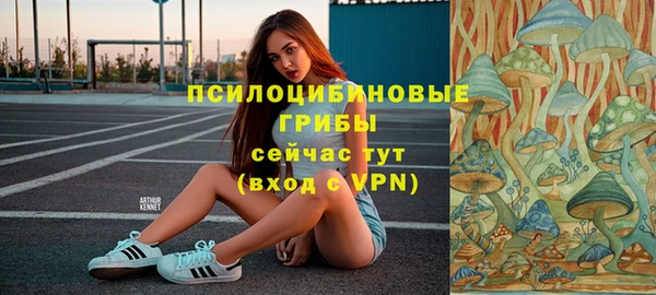 экстази Богородск