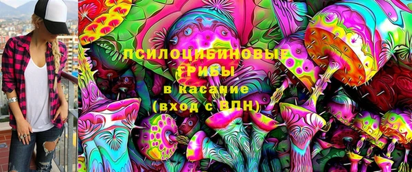 молекула духа Бронницы