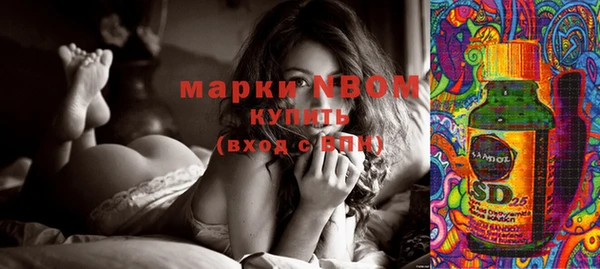 молекула духа Бронницы