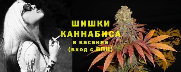 трава Богородицк