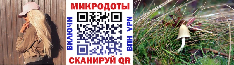 купить наркотики цена  Гусь-Хрустальный  Псилоцибиновые грибы ЛСД 